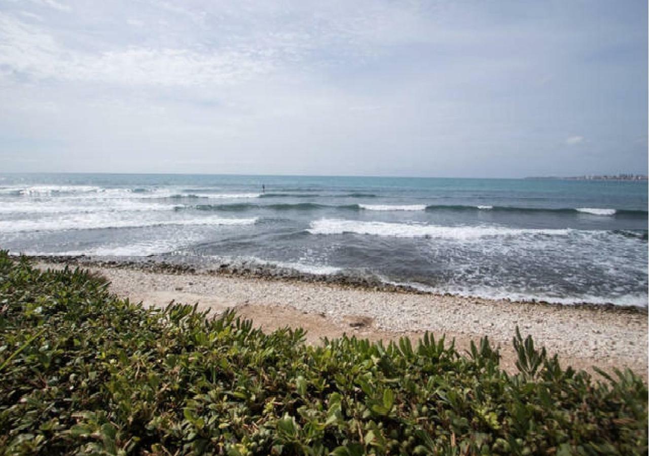 Apartamento Cabo Azul Playa Campello El Campello Ngoại thất bức ảnh